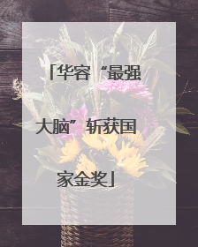 华容“最强大脑”斩获国家金奖