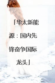华太新能源：国内先锋奋争国际龙头