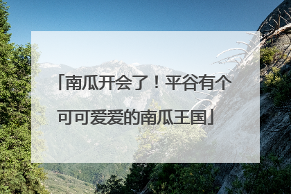 南瓜开会了！平谷有个可可爱爱的南瓜王国