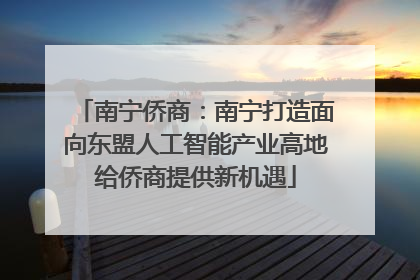 南宁侨商：南宁打造面向东盟人工智能产业高地给侨商提供新机遇