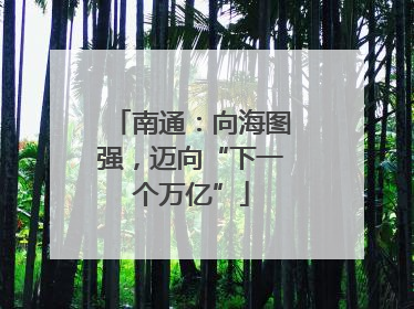 南通：向海图强，迈向“下一个万亿”