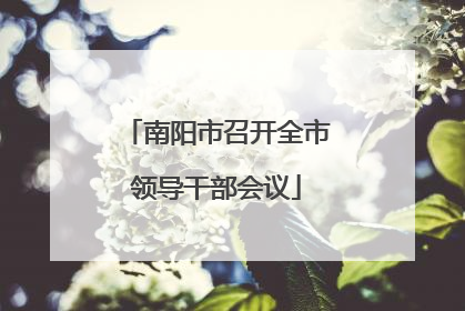 南阳市召开全市领导干部会议