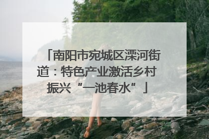 南阳市宛城区溧河街道：特色产业激活乡村振兴“一池春水”