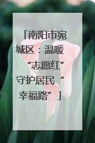 南阳市宛城区：温暖“志愿红”守护居民“幸福路”