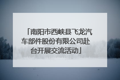 南阳市西峡县飞龙汽车部件股份有限公司赴台开展交流活动