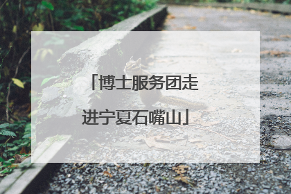 博士服务团走进宁夏石嘴山
