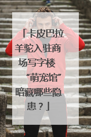 卡皮巴拉羊驼入驻商场写字楼 “萌宠馆”暗藏哪些隐患？