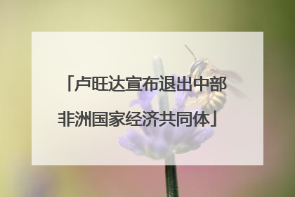 卢旺达宣布退出中部非洲国家经济共同体