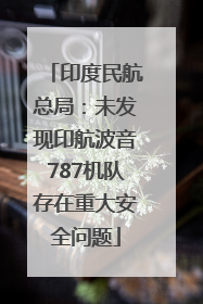 印度民航总局：未发现印航波音787机队存在重大安全问题