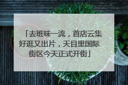 去班味一流，首店云集好逛又出片，天目里国际街区今天正式开街