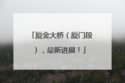 厦金大桥（厦门段），最新进展！