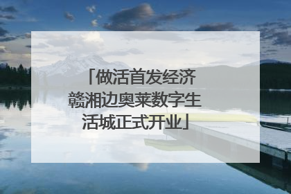做活首发经济 赣湘边奥莱数字生活城正式开业