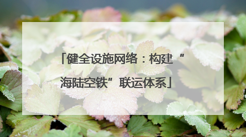 健全设施网络：构建“海陆空铁”联运体系