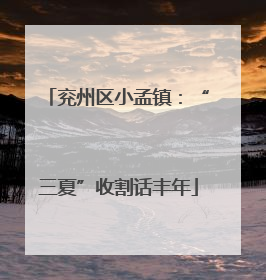 兖州区小孟镇：“三夏”收割话丰年