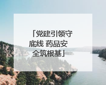 党建引领守底线 药品安全筑根基
