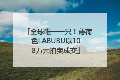 全球唯一一只！薄荷色LABUBU以108万元拍卖成交