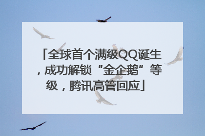 全球首个满级QQ诞生，成功解锁“金企鹅”等级，腾讯高管回应