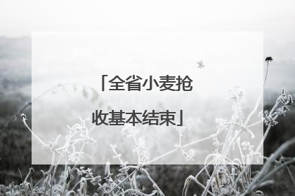 全省小麦抢收基本结束