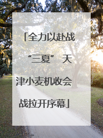 全力以赴战“三夏” 天津小麦机收会战拉开序幕