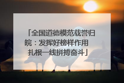 全国道德模范载誉归皖：发挥好榜样作用 扎根一线拼搏奋斗