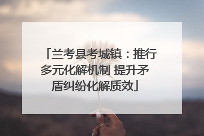 兰考县考城镇：推行多元化解机制 提升矛盾纠纷化解质效