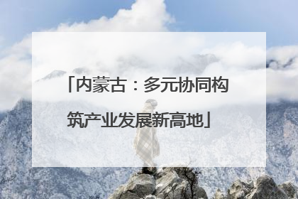 内蒙古：多元协同构筑产业发展新高地