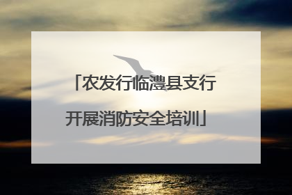 农发行临澧县支行开展消防安全培训