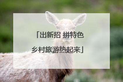 出新招 拼特色 乡村旅游热起来