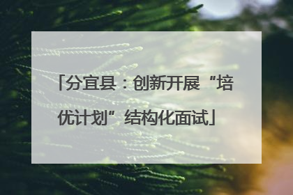 分宜县：创新开展“培优计划”结构化面试