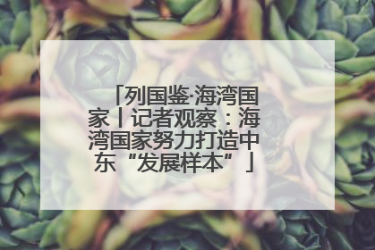 列国鉴·海湾国家丨记者观察：海湾国家努力打造中东“发展样本”