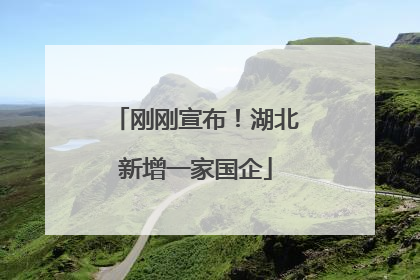 刚刚宣布！湖北新增一家国企