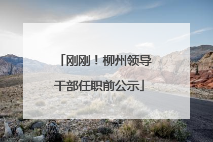 刚刚！柳州领导干部任职前公示