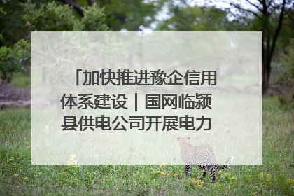 加快推进豫企信用体系建设｜国网临颍县供电公司开展电力行业信用企业现场咨询访谈工作