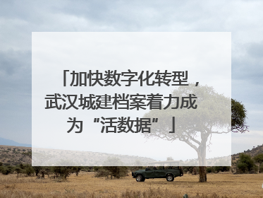加快数字化转型，武汉城建档案着力成为“活数据”
