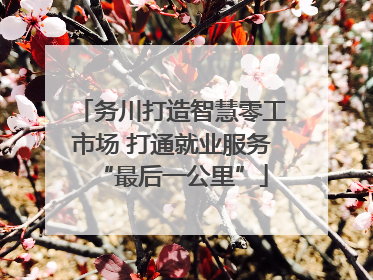 务川打造智慧零工市场 打通就业服务“最后一公里”