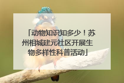 动物知识知多少！苏州相城建元社区开展生物多样性科普活动