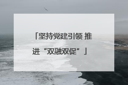 坚持党建引领 推进“双融双促”