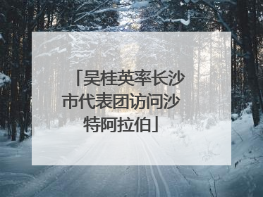吴桂英率长沙市代表团访问沙特阿拉伯