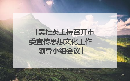 吴桂英主持召开市委宣传思想文化工作领导小组会议