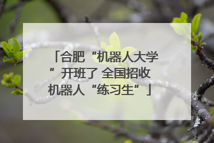 合肥“机器人大学”开班了 全国招收机器人“练习生”