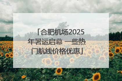 合肥机场2025年暑运启幕 一些热门航线价格优惠