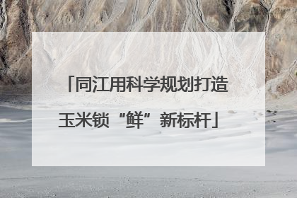 同江用科学规划打造玉米锁“鲜”新标杆