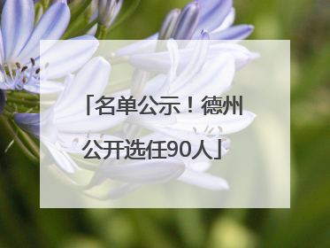 名单公示！德州公开选任90人