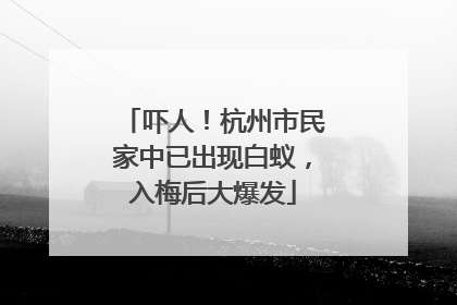 吓人！杭州市民家中已出现白蚁，入梅后大爆发