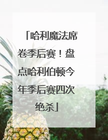 哈利魔法席卷季后赛！盘点哈利伯顿今年季后赛四次绝杀