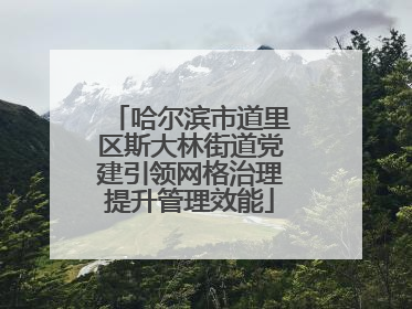 哈尔滨市道里区斯大林街道党建引领网格治理提升管理效能