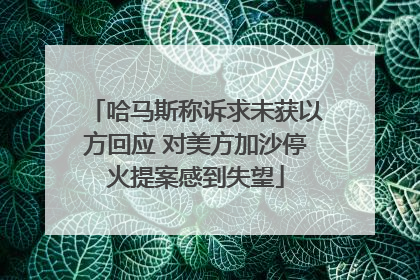 哈马斯称诉求未获以方回应 对美方加沙停火提案感到失望