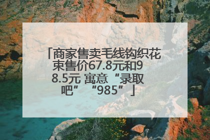 商家售卖毛线钩织花束售价67.8元和98.5元 寓意“录取吧”“985”