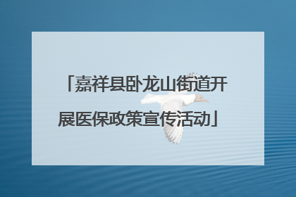 嘉祥县卧龙山街道开展医保政策宣传活动
