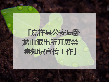 嘉祥县公安局卧龙山派出所开展禁毒知识宣传工作